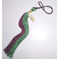 Lambda Nu Tassel